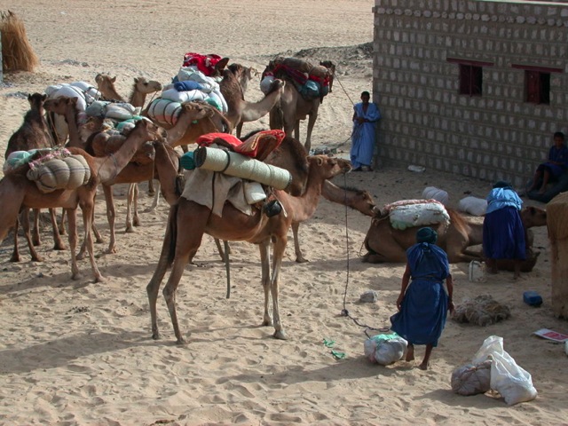 Loading Image